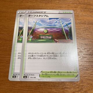 ターフスタジアム2枚