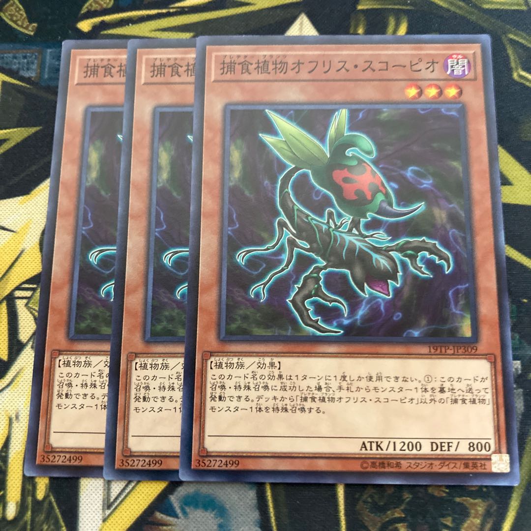 マドレース3425捕食植物オフリス・スコーピオ ノーマル