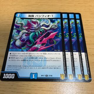 Umi Tribe Pacifio-1 U