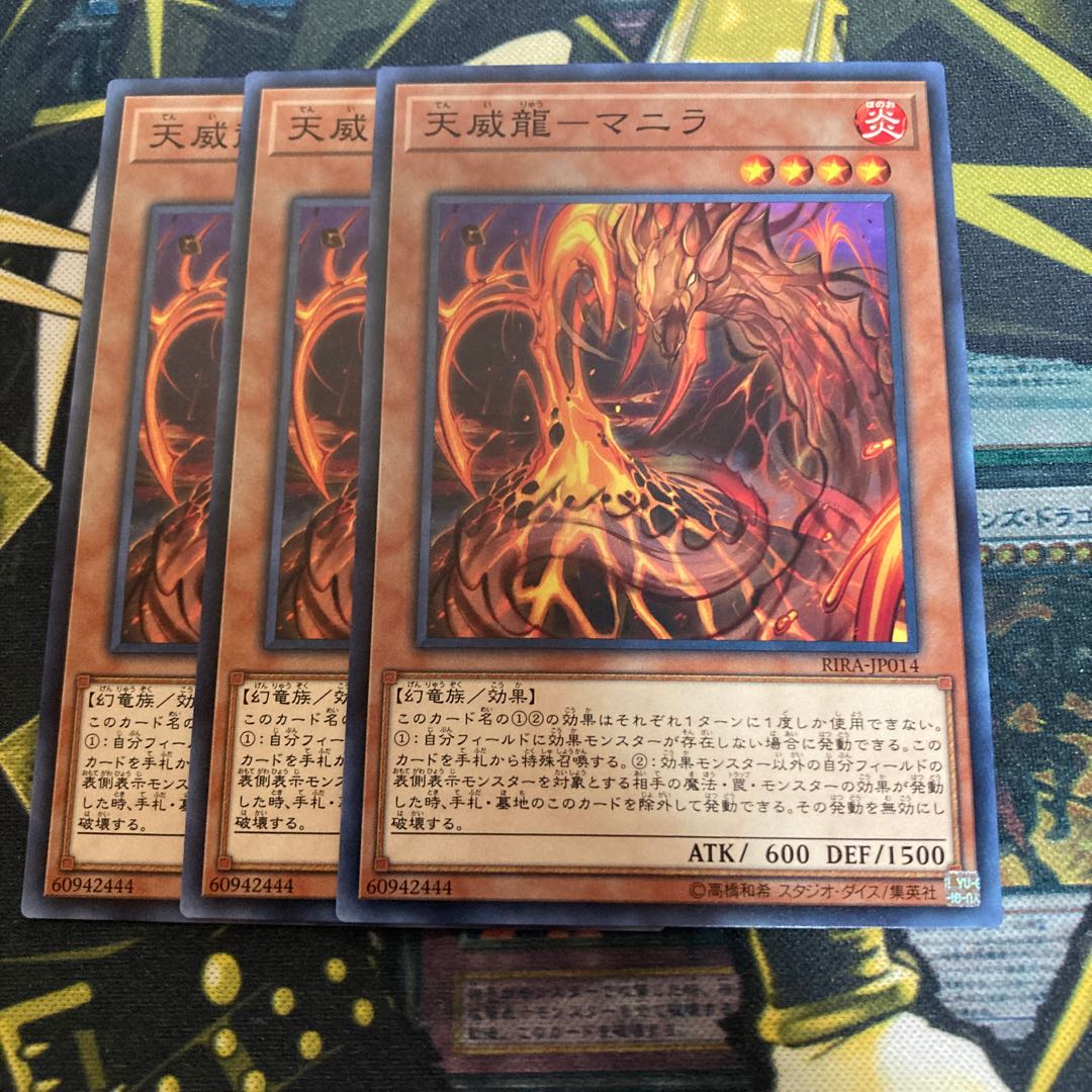 マドレース3552天威龍-マニラ ノーマル