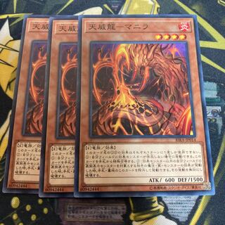 マドレース3553天威龍-マニラ ノーマル