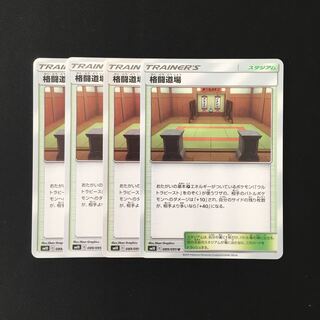 専用(二点)b106 格闘道場 SM10  トレトレ