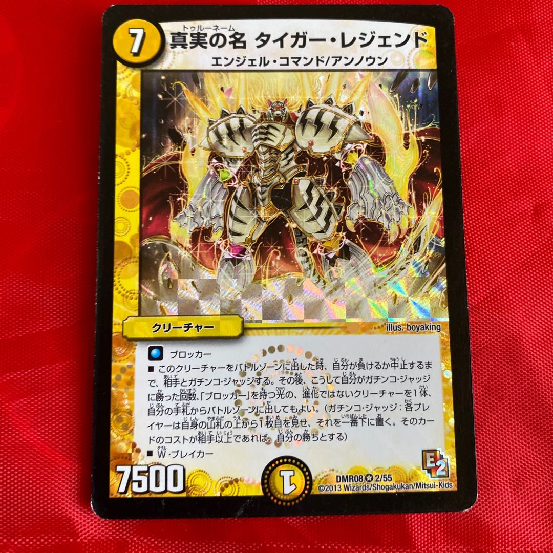 真実の名 タイガー・レジェンド