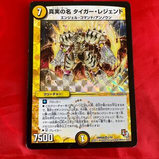 真実の名 タイガー・レジェンド