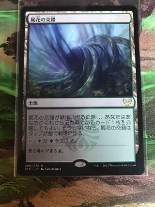 屍花の交錯 レア