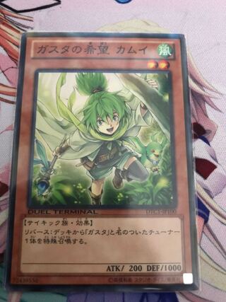 ガスタの希望 カムイ