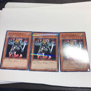 異次元の女戦士