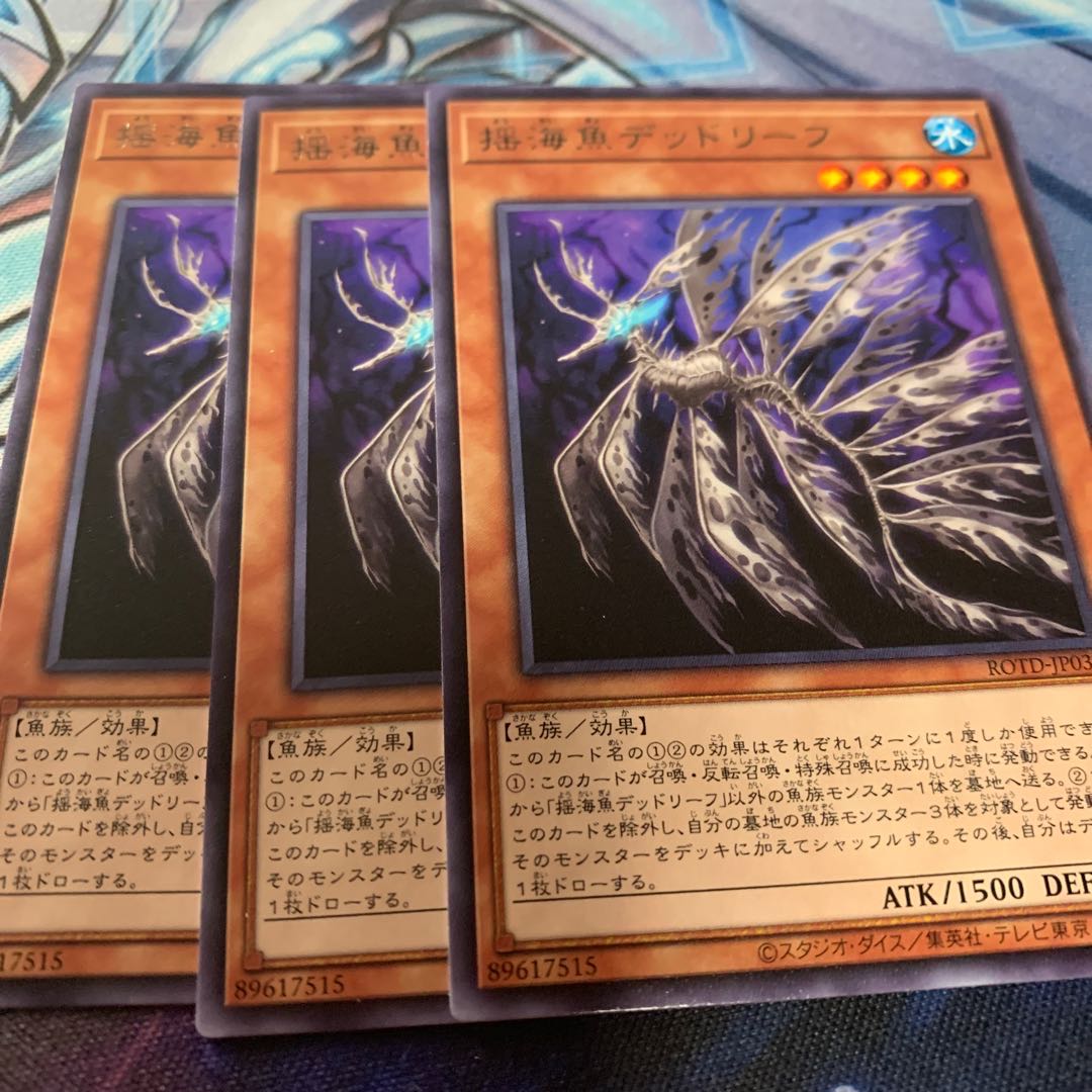 揺海魚デッドリーフ レア 専用