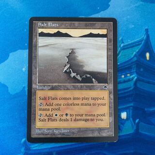 MTG 塩の干潟 1枚