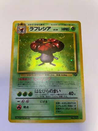 ラフレシア　旧裏　星有り