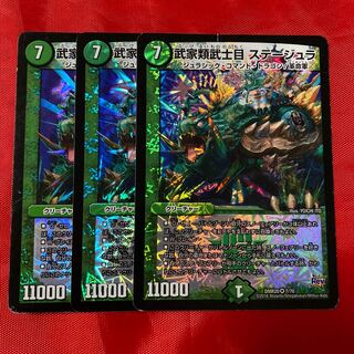 武家類武士目 ステージュラ