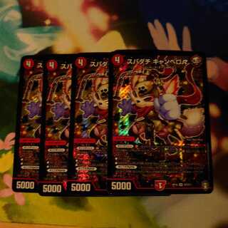 スパダチ キャンベロR SR