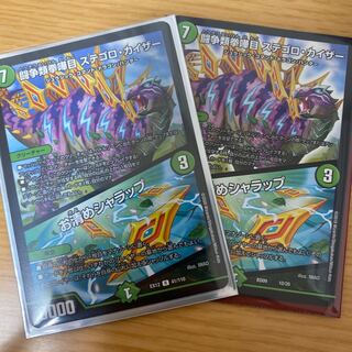 闘争類拳嘩目 ステゴロ・カイザー｜お清めシャラップ