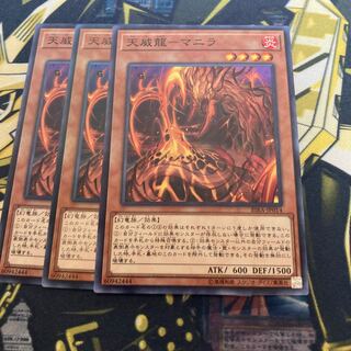 マドレース3612天威龍-マニラ ノーマル