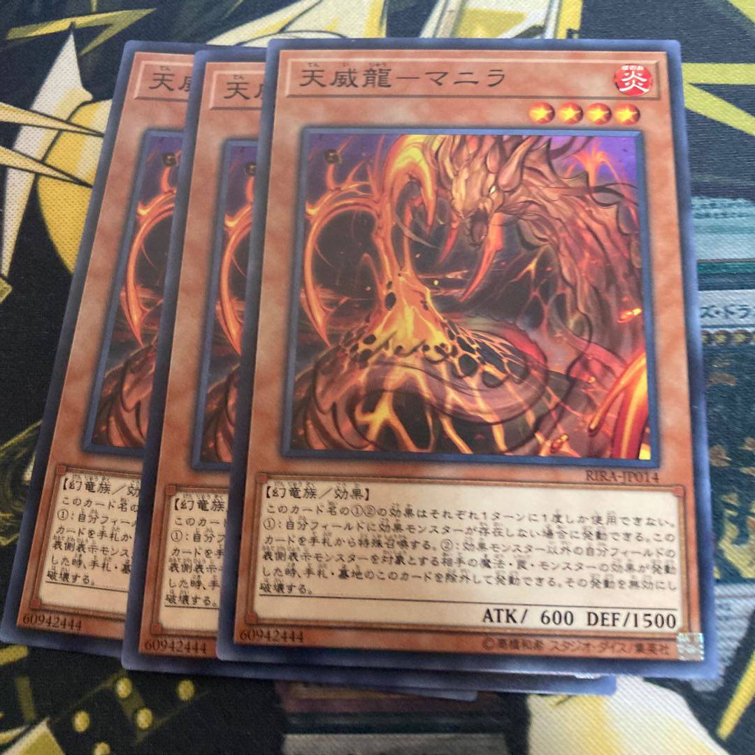 マドレース3613天威龍-マニラ ノーマル