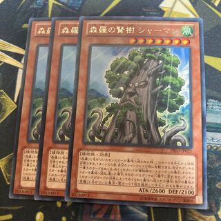 マドレース3615森羅の賢樹 シャーマン レア