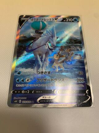 はくばバドレックスV SR スペシャルアート