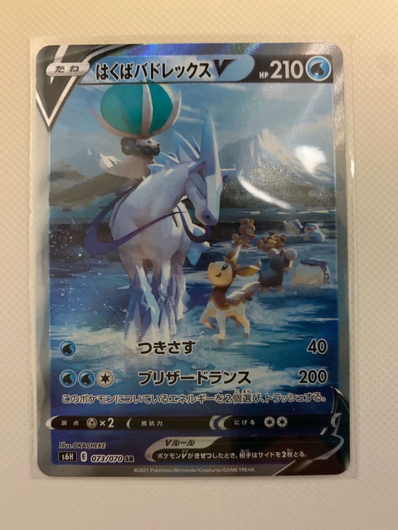 はくばバドレックスV SR スペシャルアート