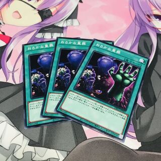 おろかな重葬【N】