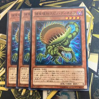 マドレース3634捕食植物スピノ・ディオネア ノーマル