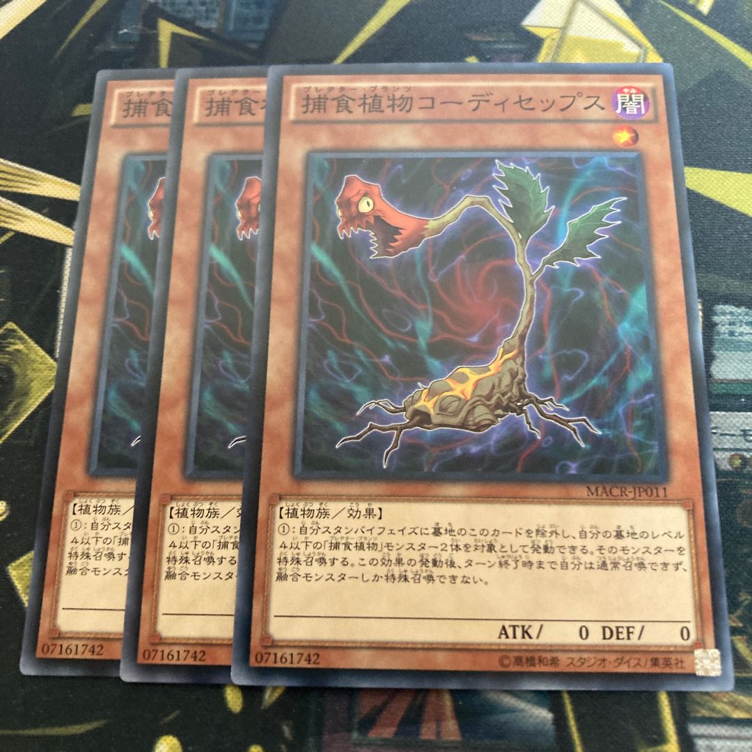 マドレース3635捕食植物コーディセップス ノーマル