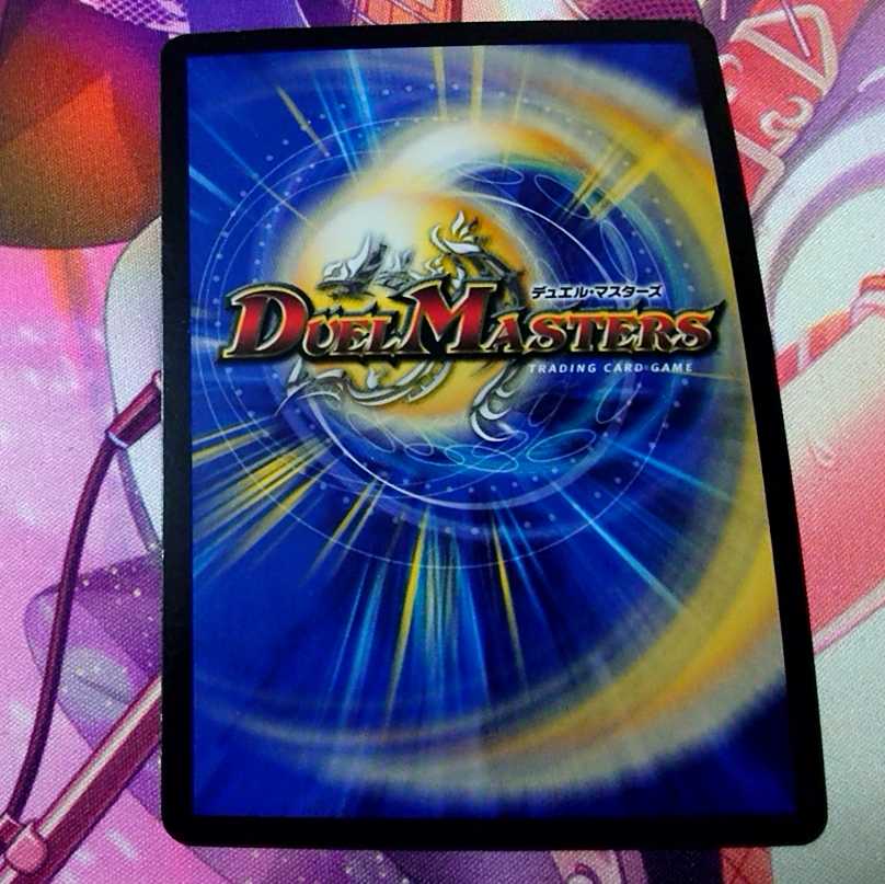 ガードホール ホイル