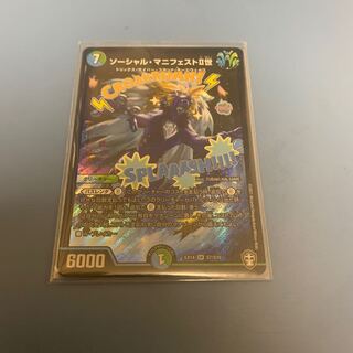 ソーシャル・マニフェストII世　1枚