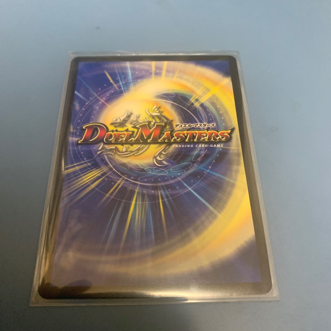 ソーシャル・マニフェストII世 1枚