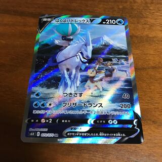 Hakuba Budrex V SR SA