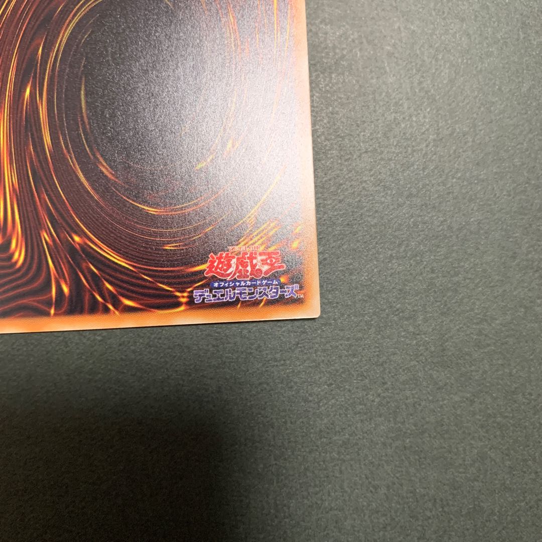 捕食植物トリフィオヴェルトゥム ウルトラレア