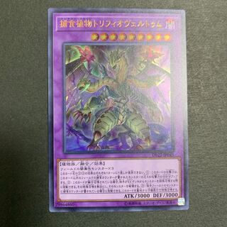 捕食植物トリフィオヴェルトゥム ウルトラレア