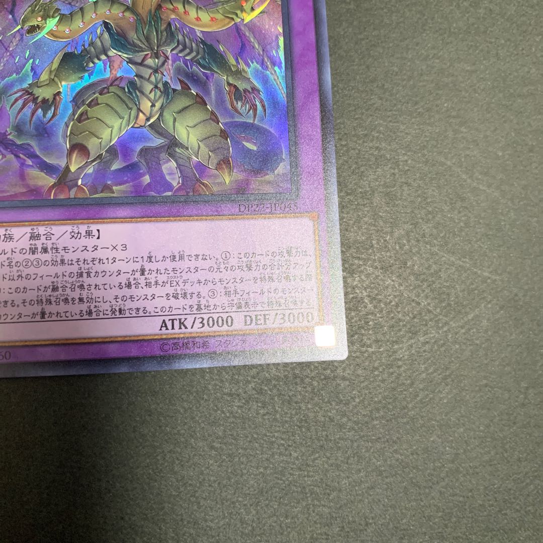 捕食植物トリフィオヴェルトゥム ウルトラレア