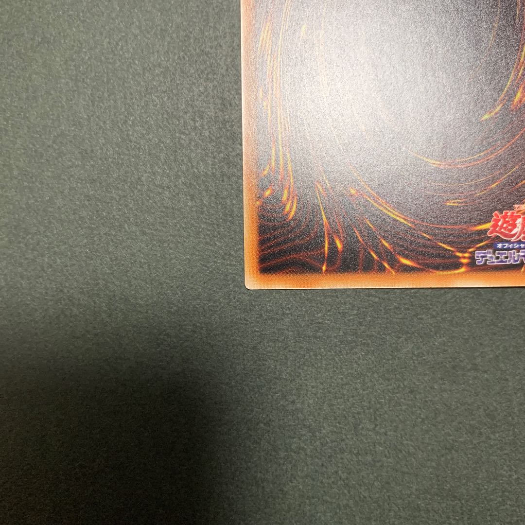 捕食植物トリフィオヴェルトゥム ウルトラレア