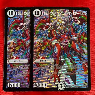 「智」の頂 レディオ・ローゼス