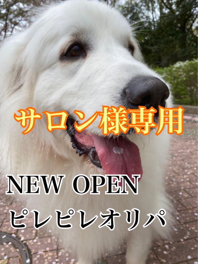 第一弾 開店記念低額マイルドオリパ 50口