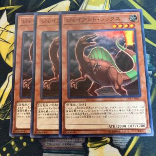 マドレース3738ジャイアント・レックス ノーマル
