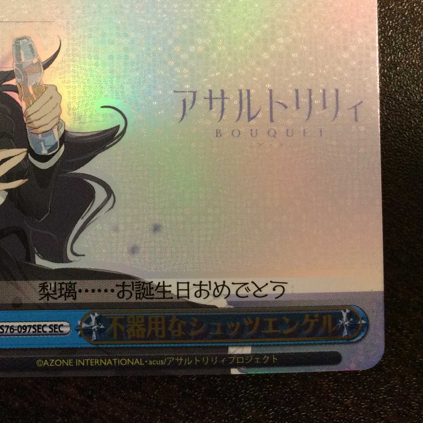 (美品)不器用なシュッツエンゲル SEC ALL/S76-097SEC