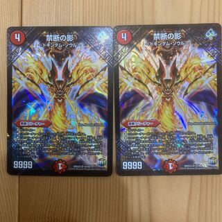 禁断の影 -ドキンダム・ソウル-×2枚