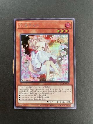 Ash Blossom & Joyous Spring Secret Rare Different Illustration