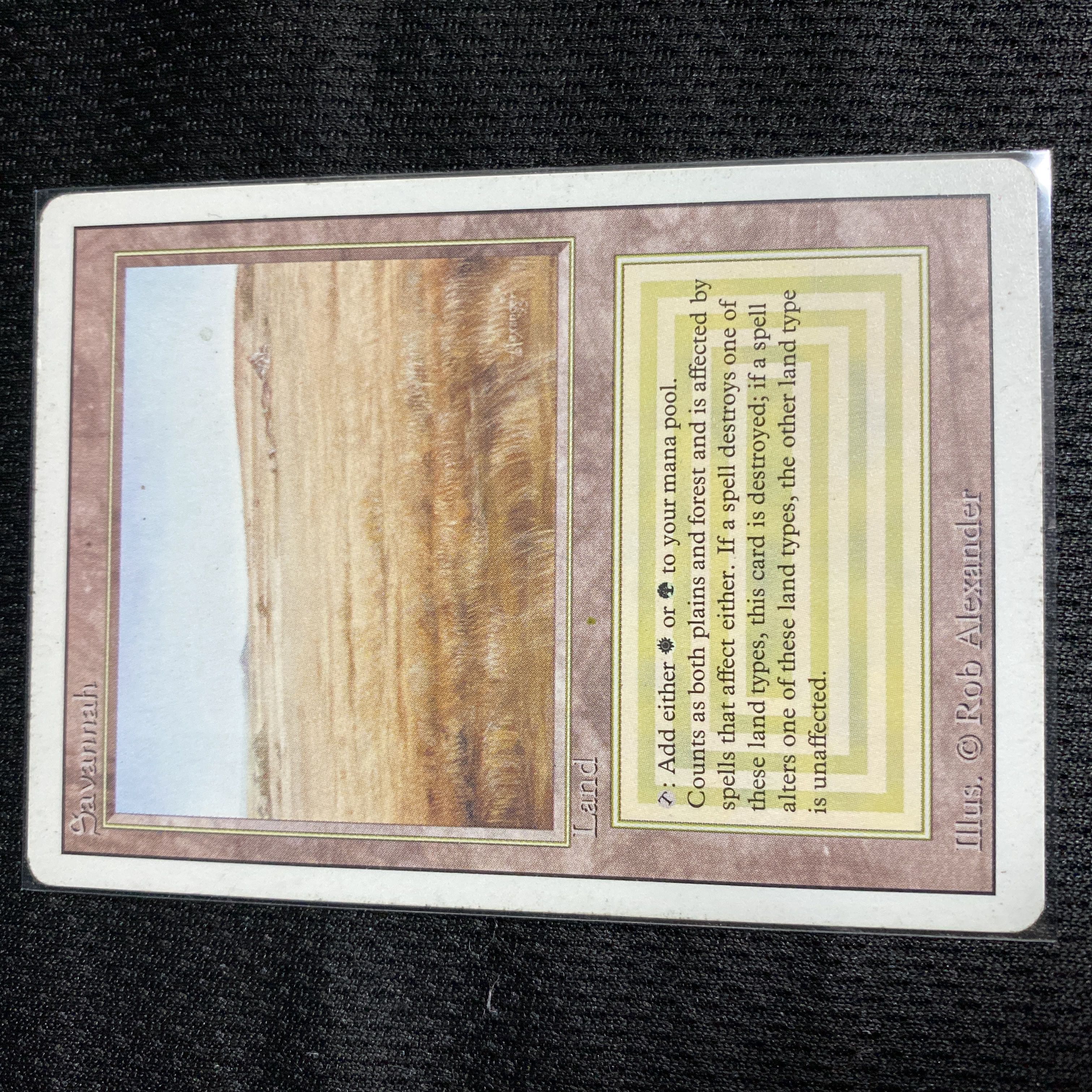 Savannah 3ED 状態EX