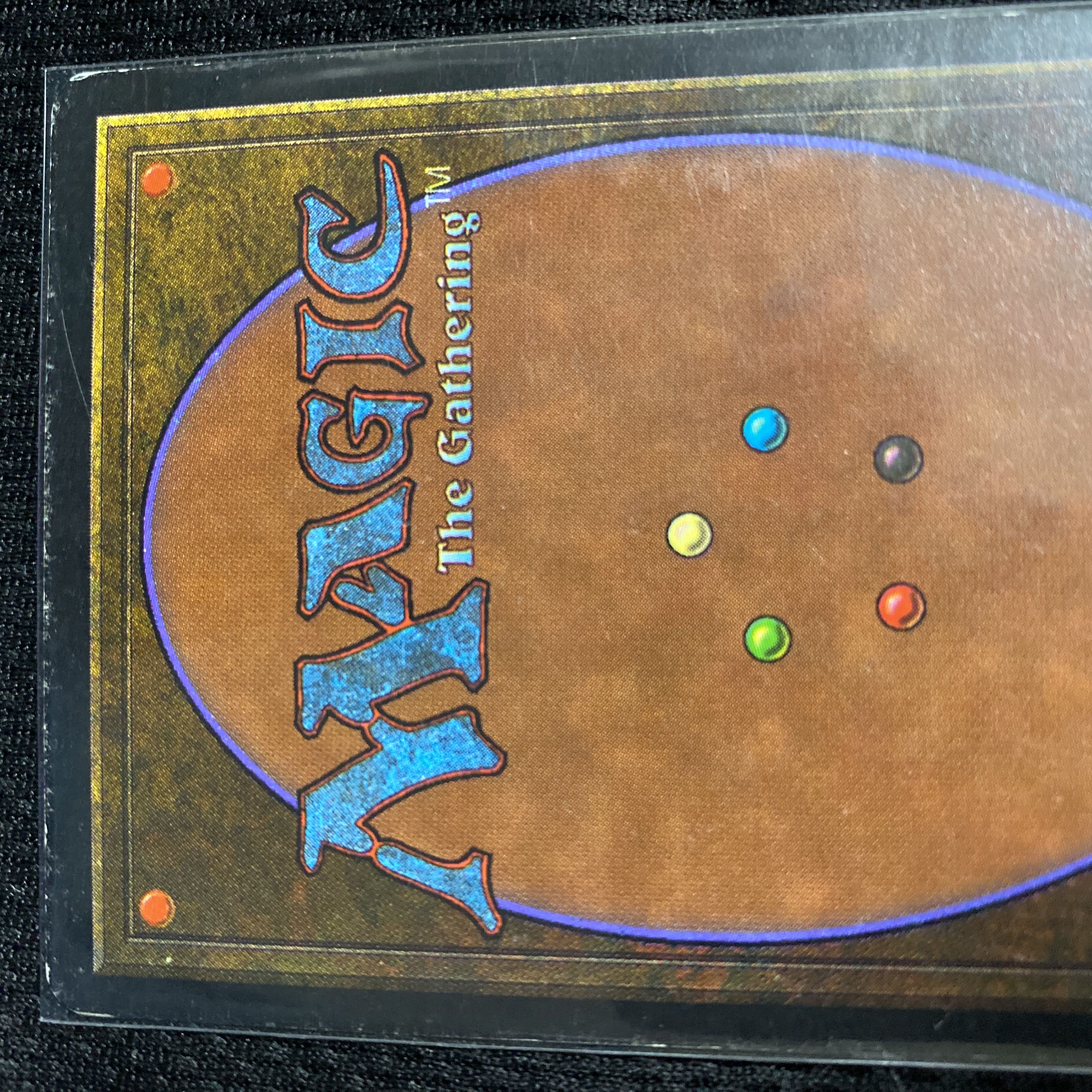 Savannah 3ED 状態EX