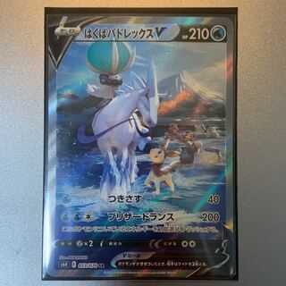 Hakuba Budrex V SR