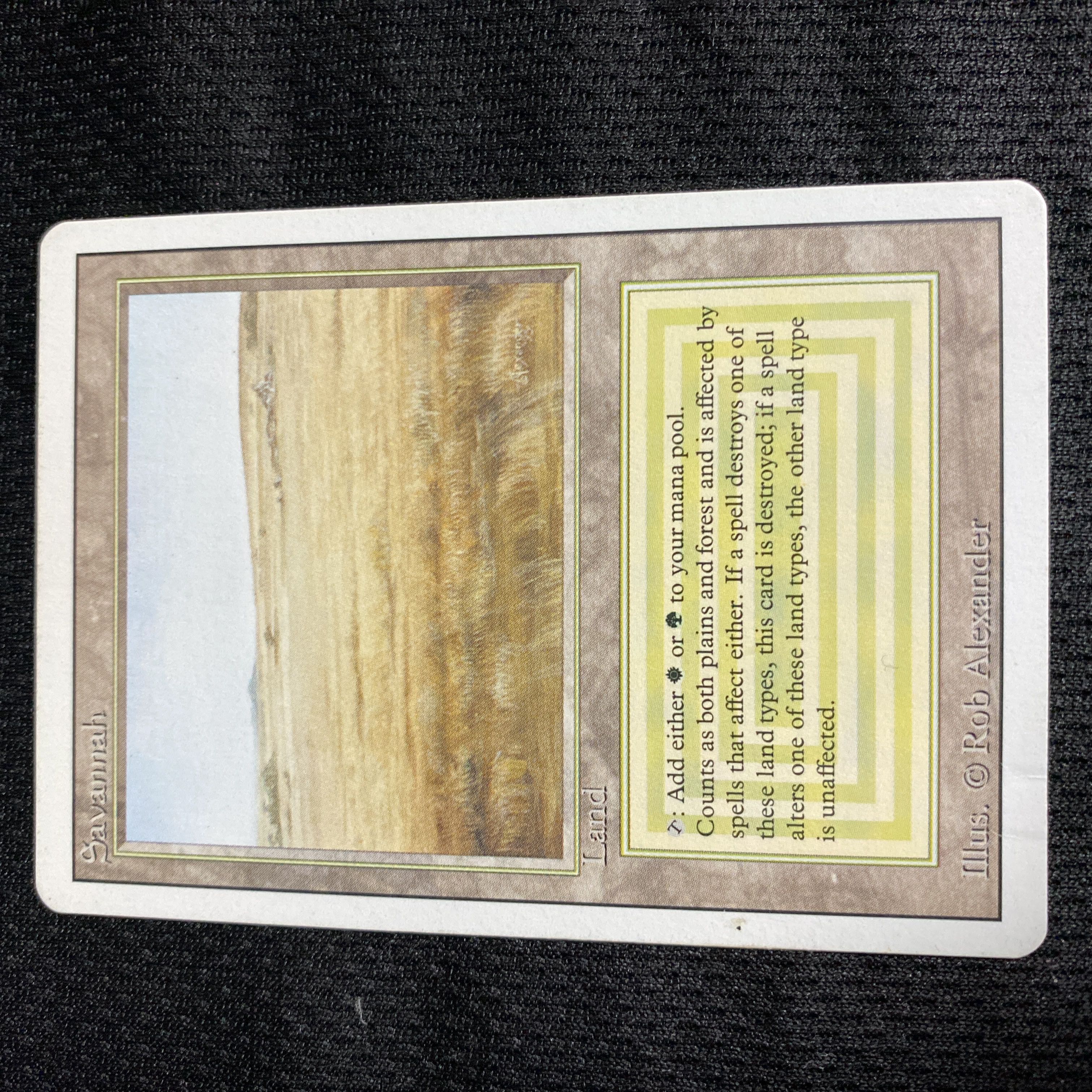 Savannah 3ED 凹み有り