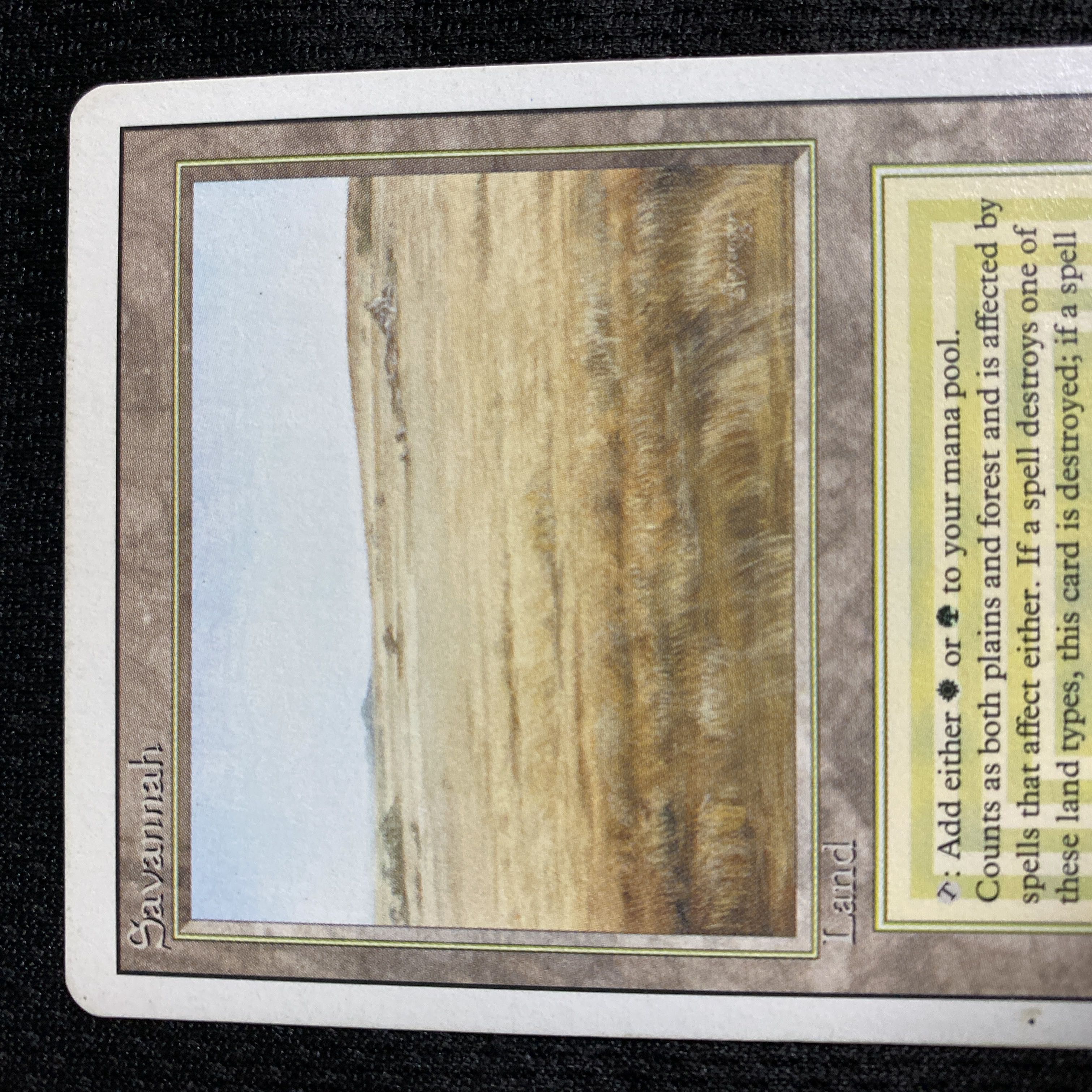 Savannah 3ED 凹み有り