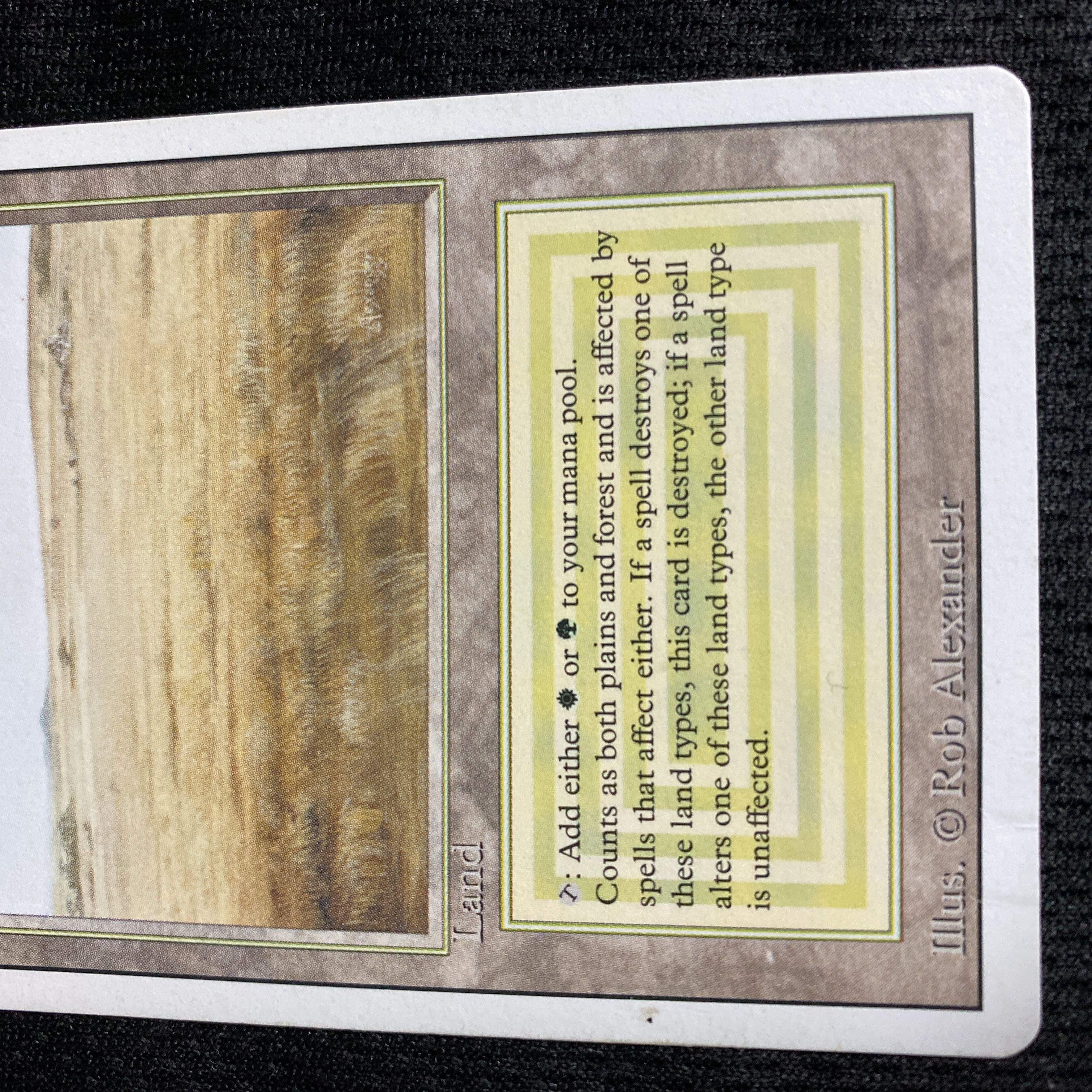 Savannah 3ED 凹み有り