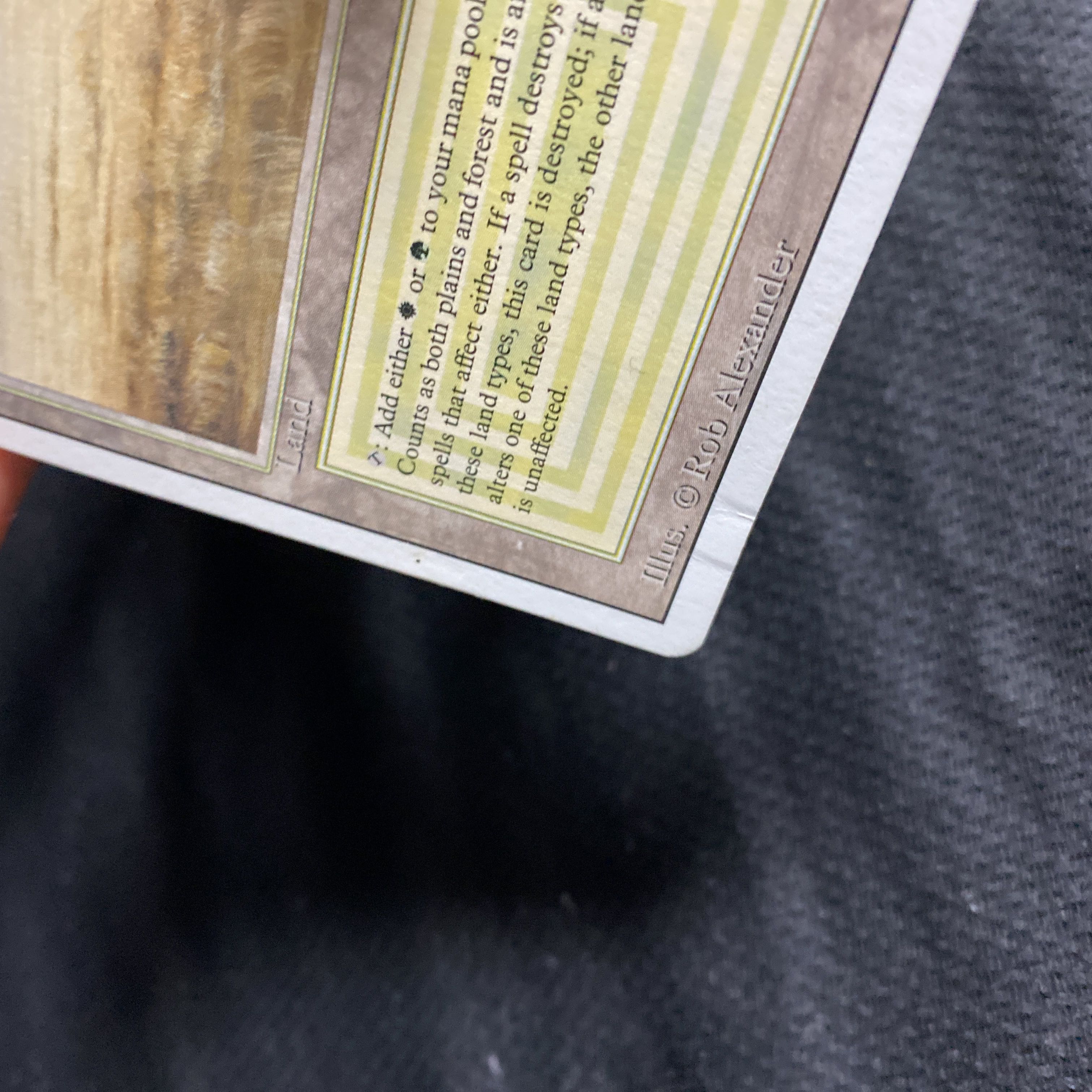 Savannah 3ED 凹み有り