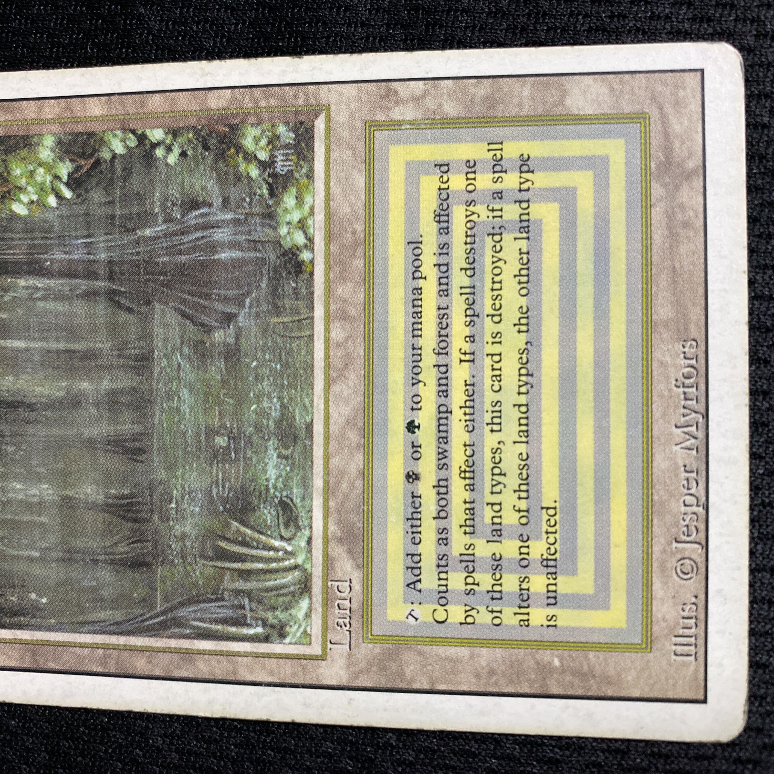 Bayou 3ED 状態POOR