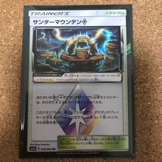 ココア飲みたい〜！様専用 サンダーマウンテン