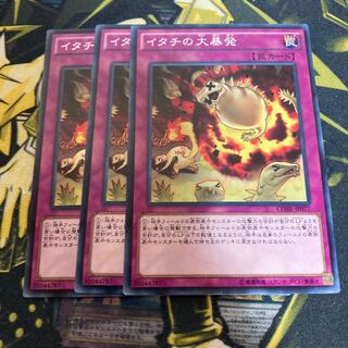 マドレース3893イタチの大暴発 ノーマル