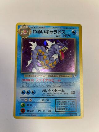 わるいギャラドス　②